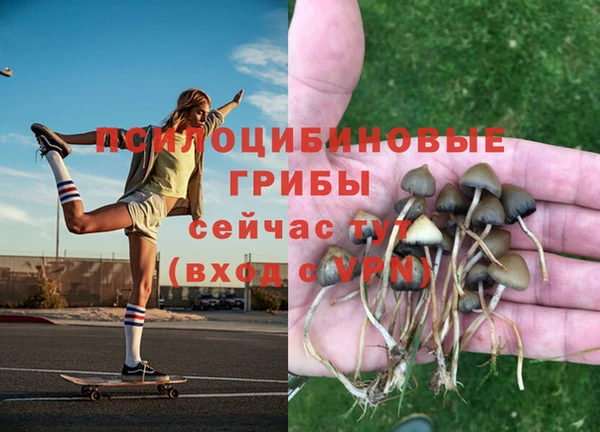 молекула духа Балабаново
