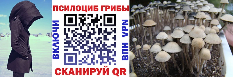 Галлюциногенные грибы Psilocybine cubensis  сколько стоит  Няндома 